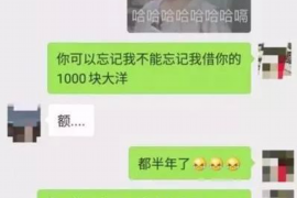 红河专业催债公司的市场需求和前景分析